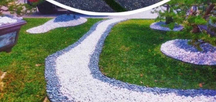 Garden Restoration & Makeover